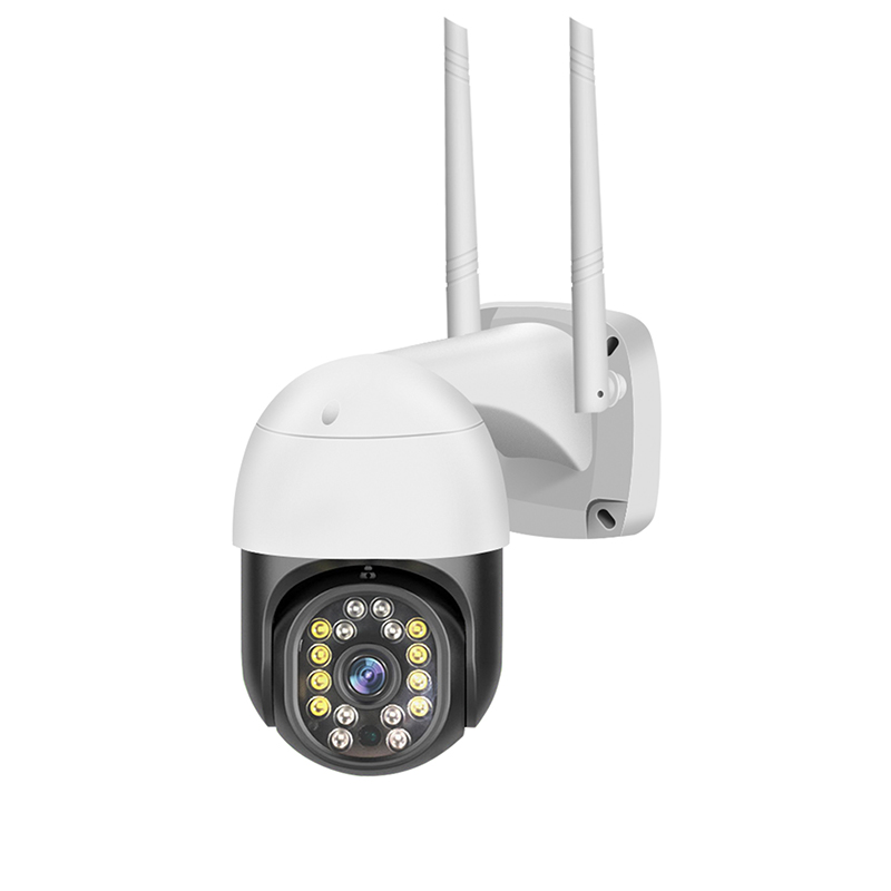 Smart outdoor ball camera