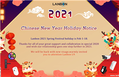 Chinese New Year Holiday Notice