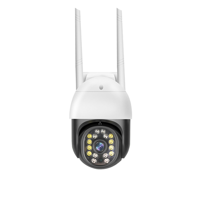 Smart outdoor ball camera